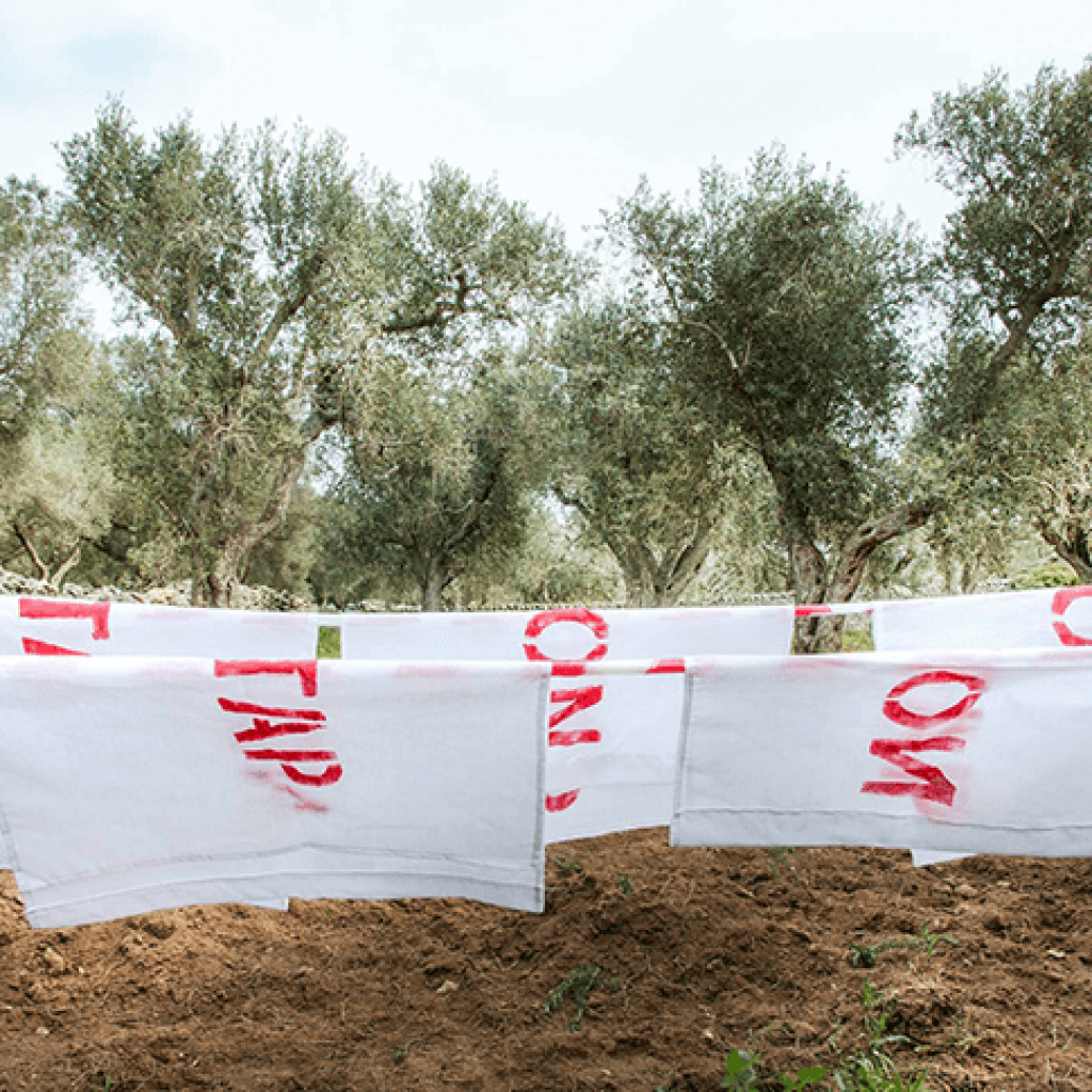 No-TAP protests, South Italy
